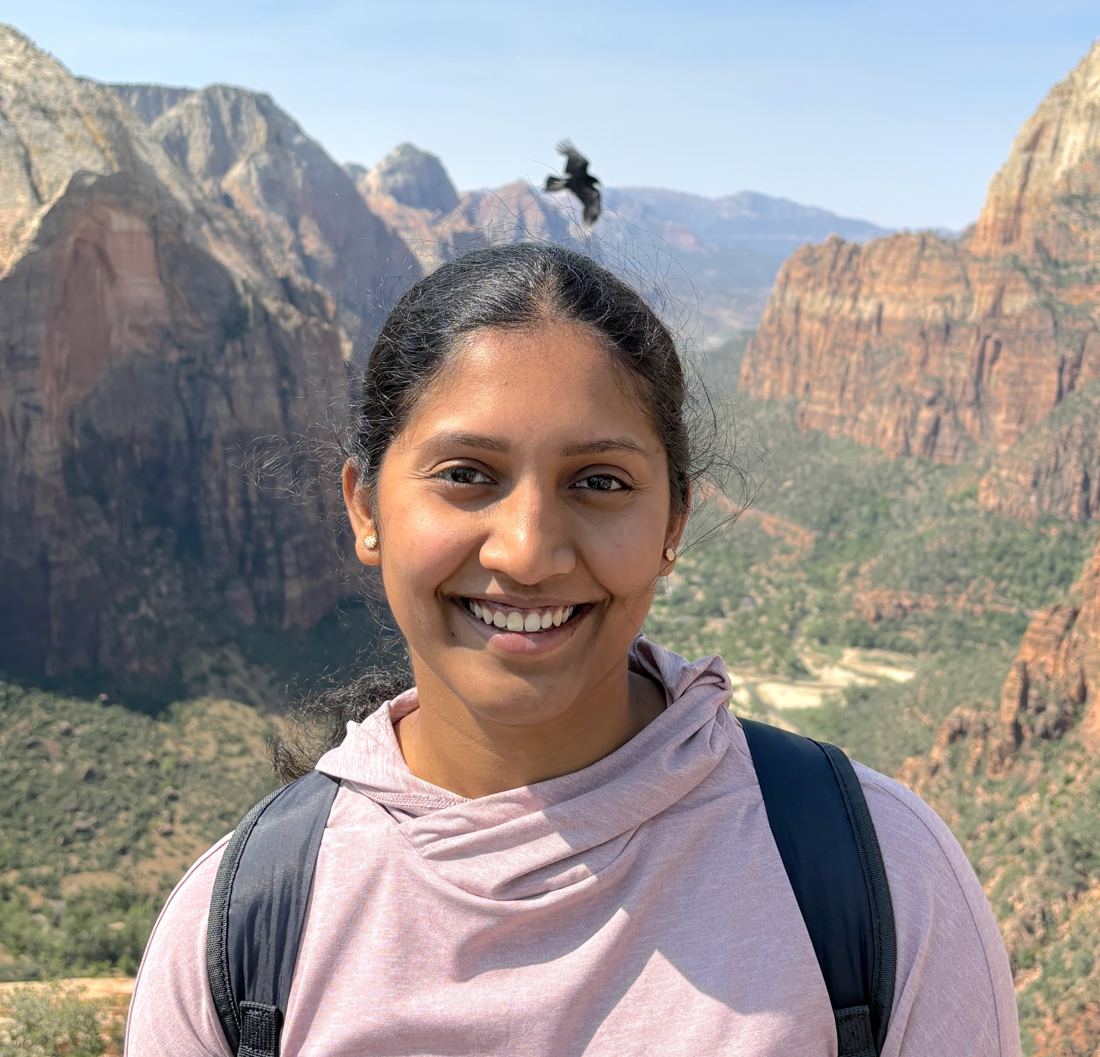 Ananya Gubbi Mohanbabu